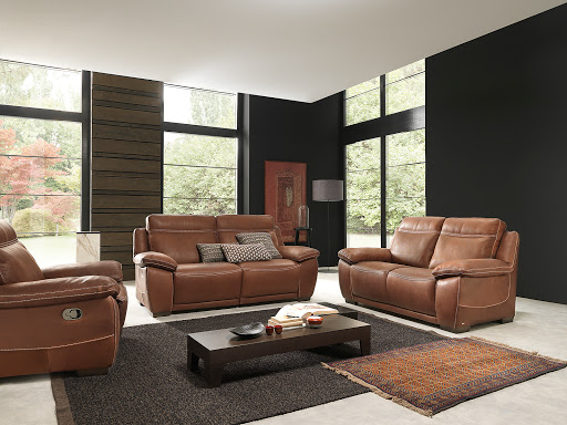 Furniture Store «Texas Leather Furniture & Accessories», reviews and photos, 6924 TX-121, Frisco, TX 75034, USA