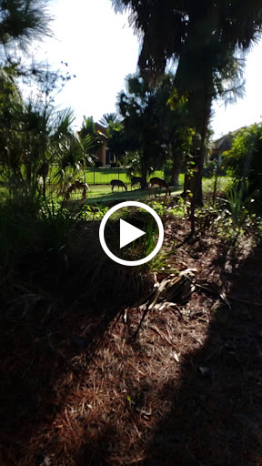 Golf Club «Legacy Club At Alaqua Lakes», reviews and photos, 1700 Alaqua Lakes Blvd, Longwood, FL 32779, USA