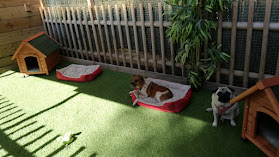 Centre Canin Cynomaya