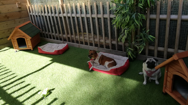 Centre Canin Cynomaya