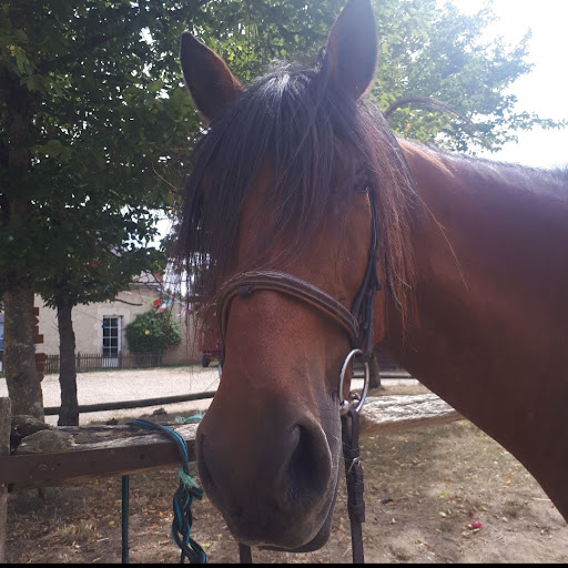 CENTRE EQUESTRE DE L EPINEAU à Ruffec, Indre