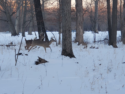 Nature Preserve «Harms Woods», reviews and photos, Harms Rd, Glenview, IL 60025, USA