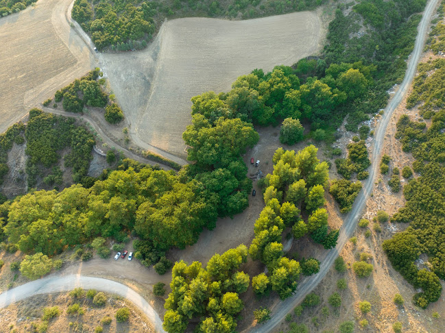Αλωνάκι Πλατάνια "Μουσικό Φεστιβάλ Ελάτειας" - Χαλκίδα