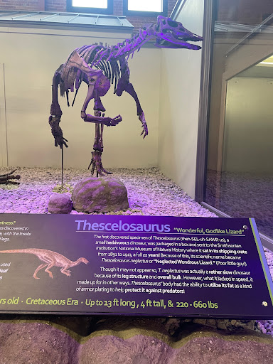 Museum «Museum of World Treasures», reviews and photos, 835 E 1st St N, Wichita, KS 67202, USA