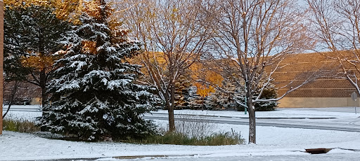 Home Improvement Store «Menards», reviews and photos, 10251 Baltimore St NE, Blaine, MN 55449, USA