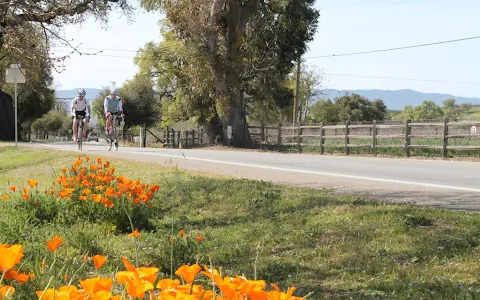 I Bike Santa Barbara Wine Country Tours image