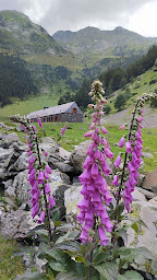 Photo n°35 de Hospice de Rioumajou à Saint-Lary-Soulan ()