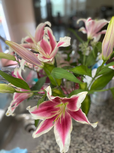 Health Food Store «Sprouts Farmers Market», reviews and photos, 2015 GA-54, Peachtree City, GA 30269, USA