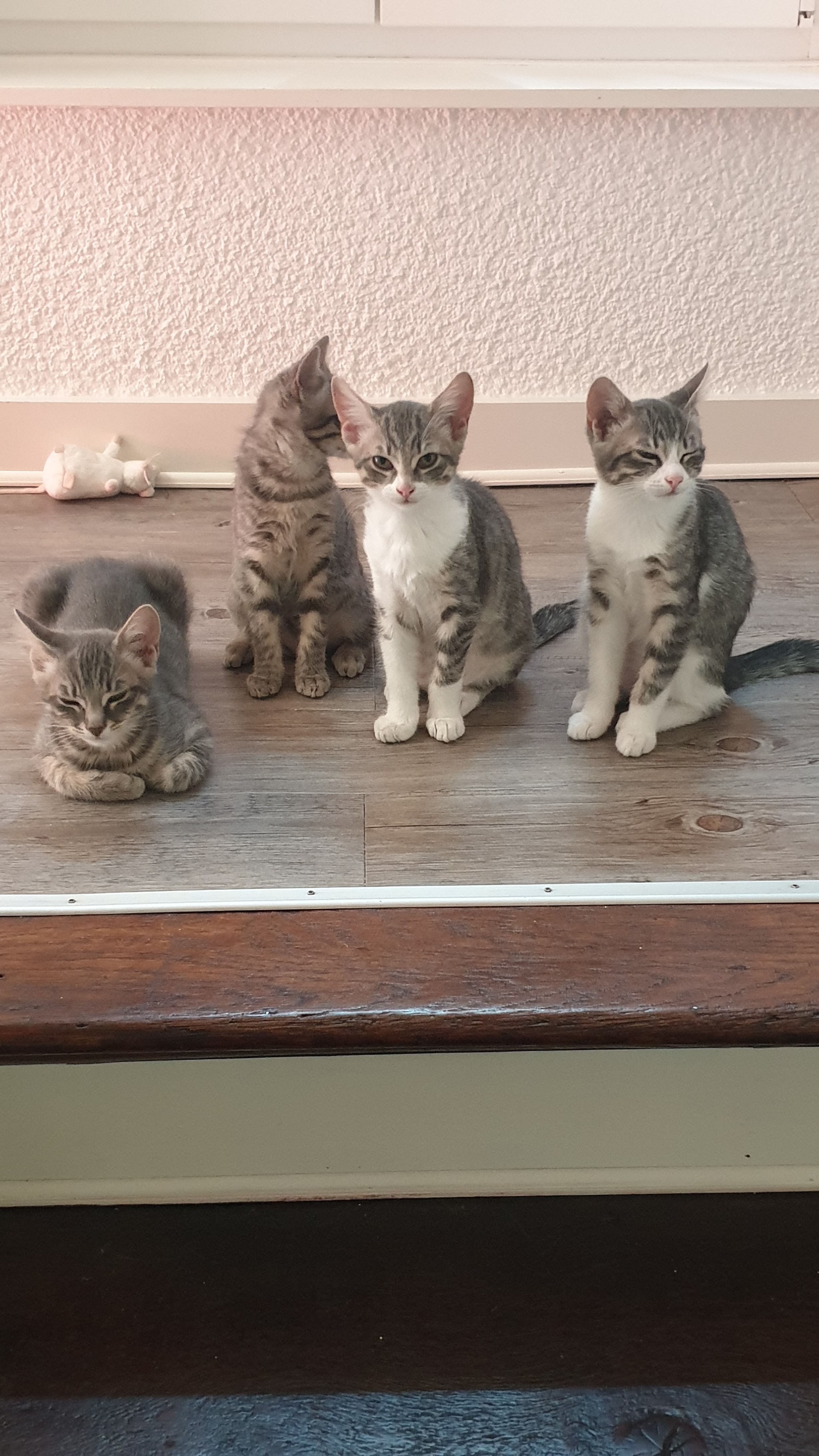 Photo n° 1 de l'avis de philippe.a fait le 19/08/2021 à 08:48