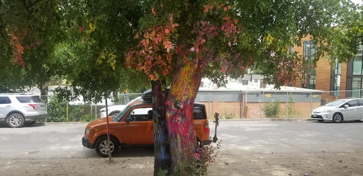 Art Gallery «HOPE Outdoor Gallery», reviews and photos, 1101 Baylor St, Austin, TX 78703, USA