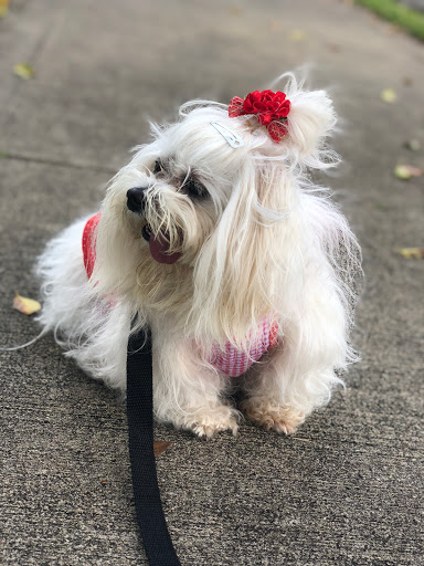 Park «Country Village Park», reviews and photos, 6550 NW 188th Terrace, Hialeah, FL 33015, USA