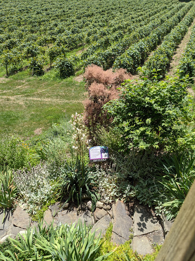 Winery «Inspire Moore Winery», reviews and photos, 197 N Main St, Naples, NY 14512, USA