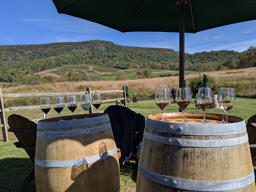 Vineyard «Glen Manor Vineyards», reviews and photos, 2244 Browntown Rd, Front Royal, VA 22630, USA