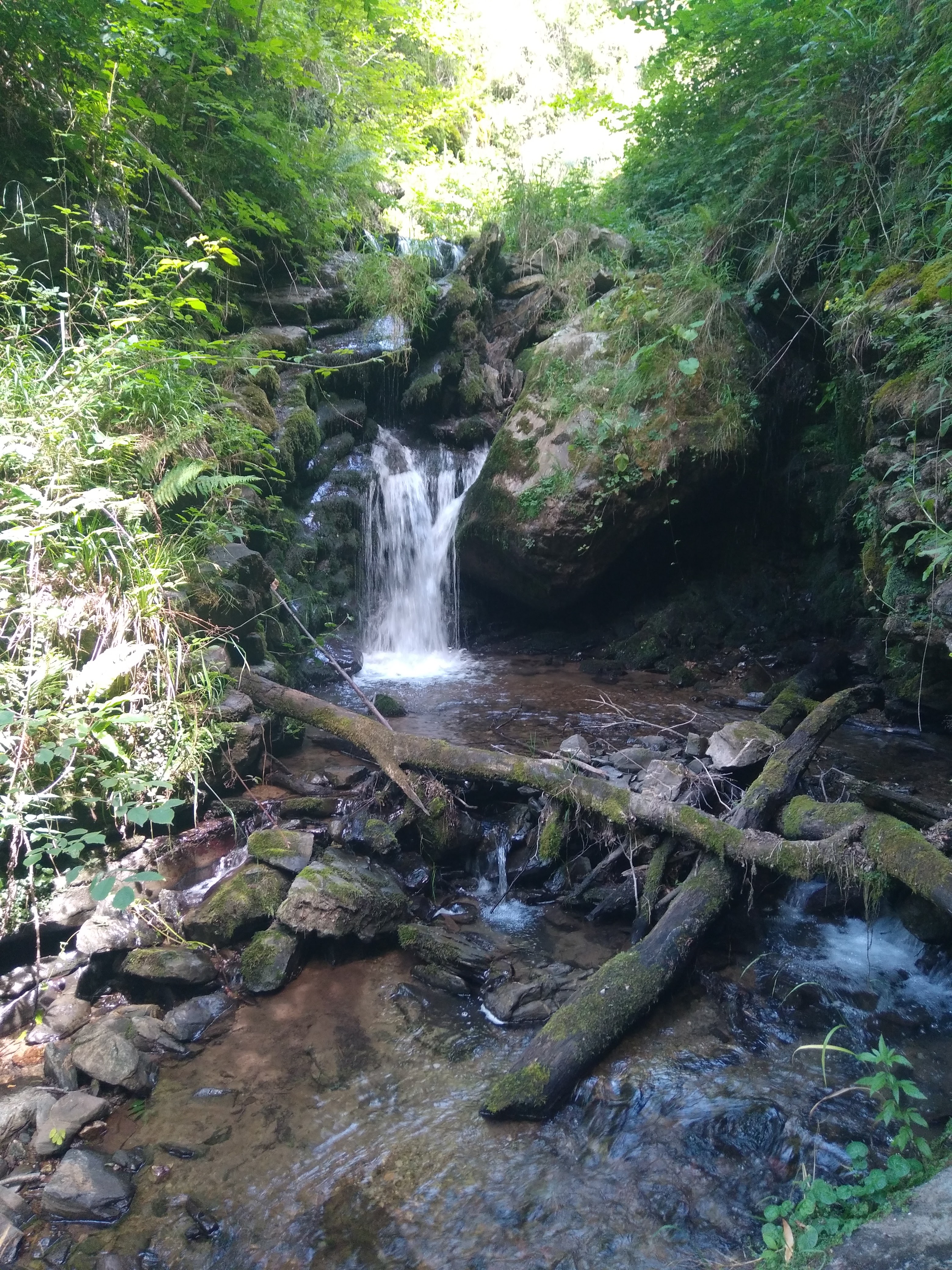 Photo n° 1 de l'avis de jerome.o fait le 26/07/2021 à 12:38
