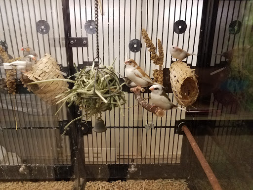 Pet Supply Store «PetSmart», reviews and photos, 5722 Fairmont Pkwy, Pasadena, TX 77505, USA