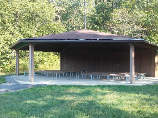 Nature Preserve «Boyd Big Tree Preserve Conservation Area», reviews and photos, Fishing Creek Valley Rd, Harrisburg, PA 17112, USA