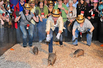 Ultimate Ventures - Photo 8 - Car repair in Addison, TX, Plano