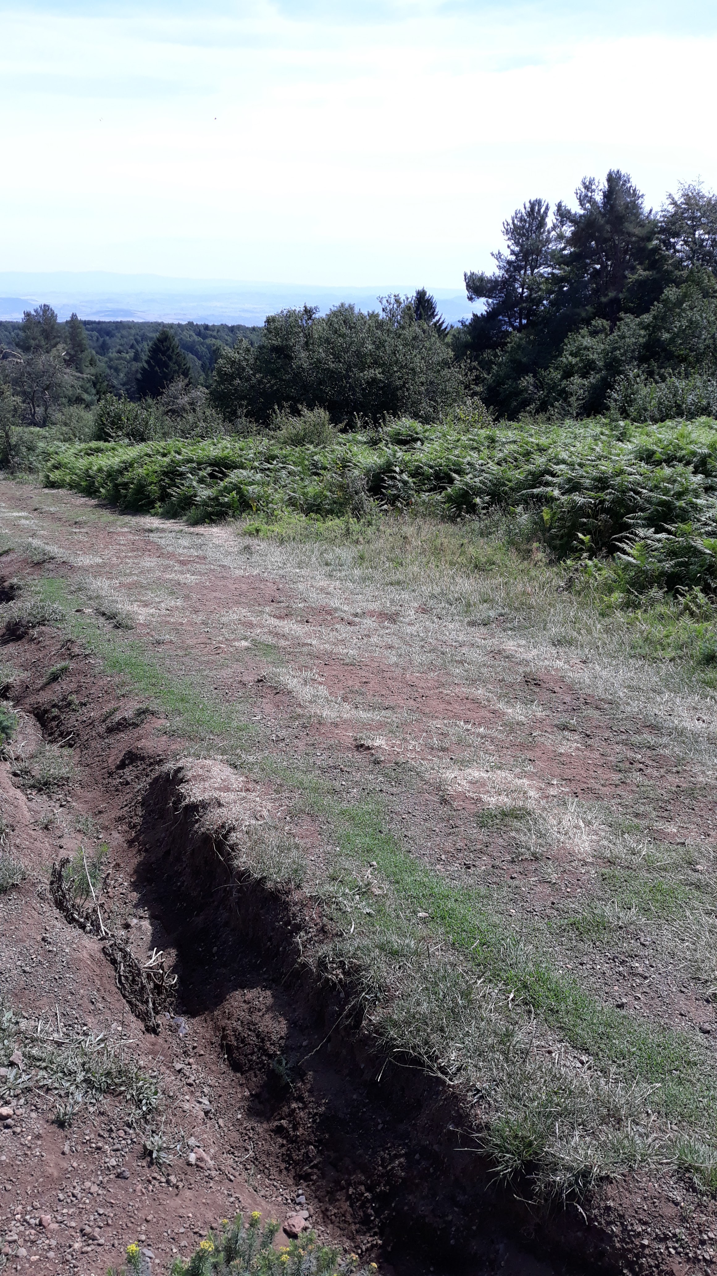 Photo n° 26 de l'avis de Mathis.l fait le 17/08/2019 à 07:13