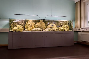 Dein Erlebnis Aquarium - Aquaristik Architektur image