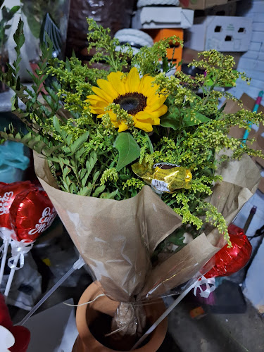 Cia dos Vasos São Gabriel - Floricultura