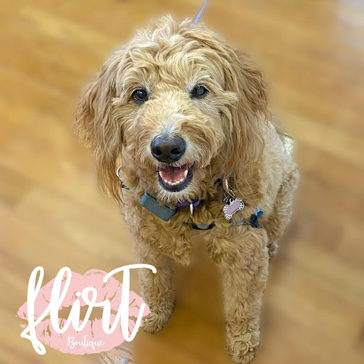 Boutique «Flirt Boutique», reviews and photos, 625 Main St, Rochester, IN 46975, USA