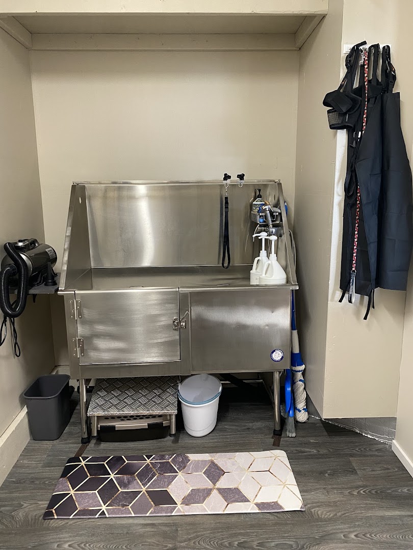 Cimarron Animal Spa