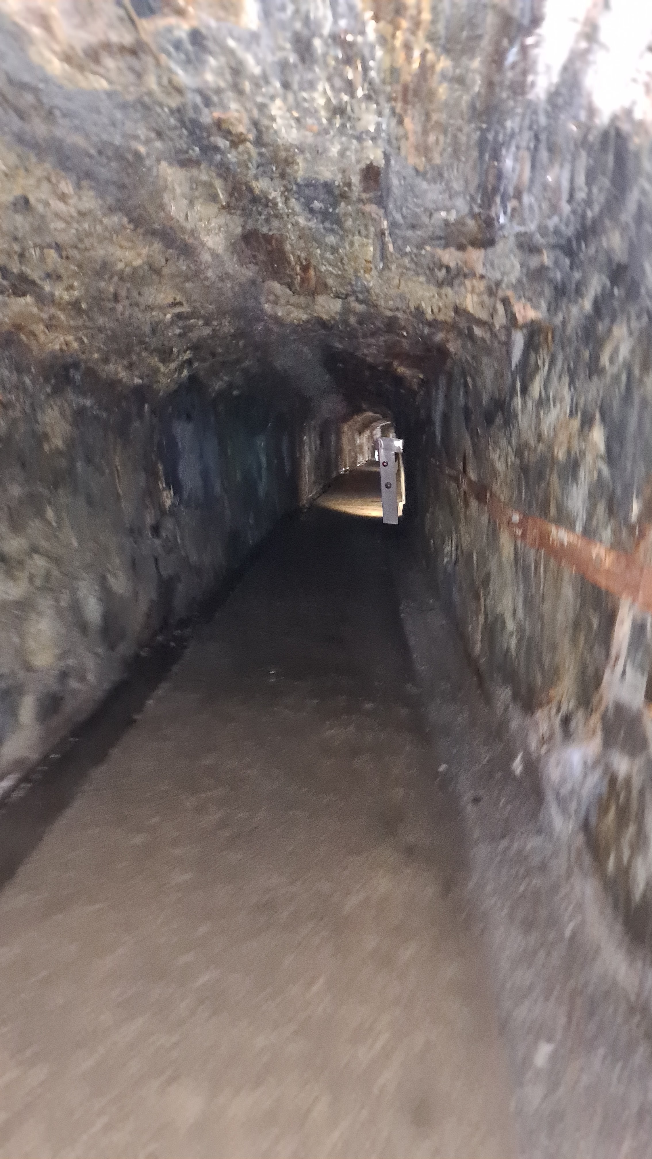 Photo n° 7 de l'avis de Guillaume.u fait le 19/08/2022 à 10:52