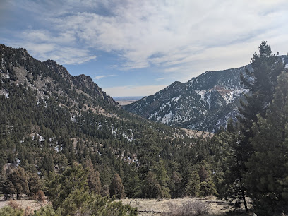 Cannyon Trail - Top Mesa