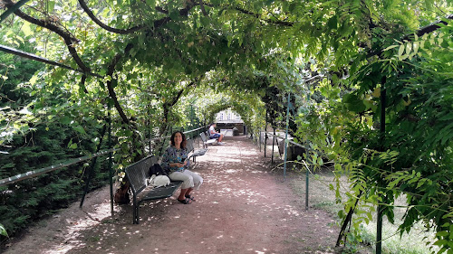 Jardin Archéologique à Lyon