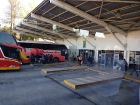 Terminal Rodoviario San Felipe