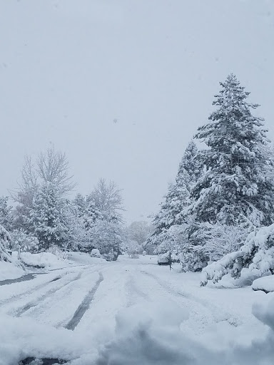 Golf Club «Wolf Run Golf Club», reviews and photos, 1400 Wolf Run Rd, Reno, NV 89511, USA