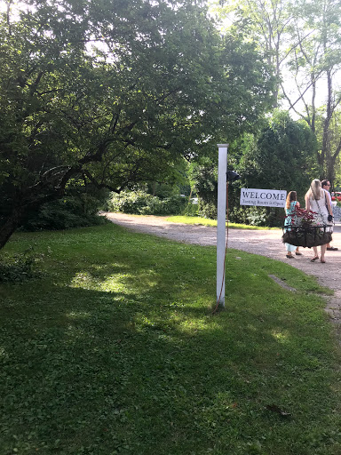 Vineyard «Diamond Hill Vineyards», reviews and photos, 3145 Diamond Hill Rd, Cumberland, RI 02864, USA