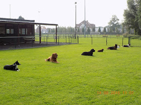 Kampenhoutse Hondenschool