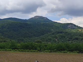 Büyükyenice Belediyesi