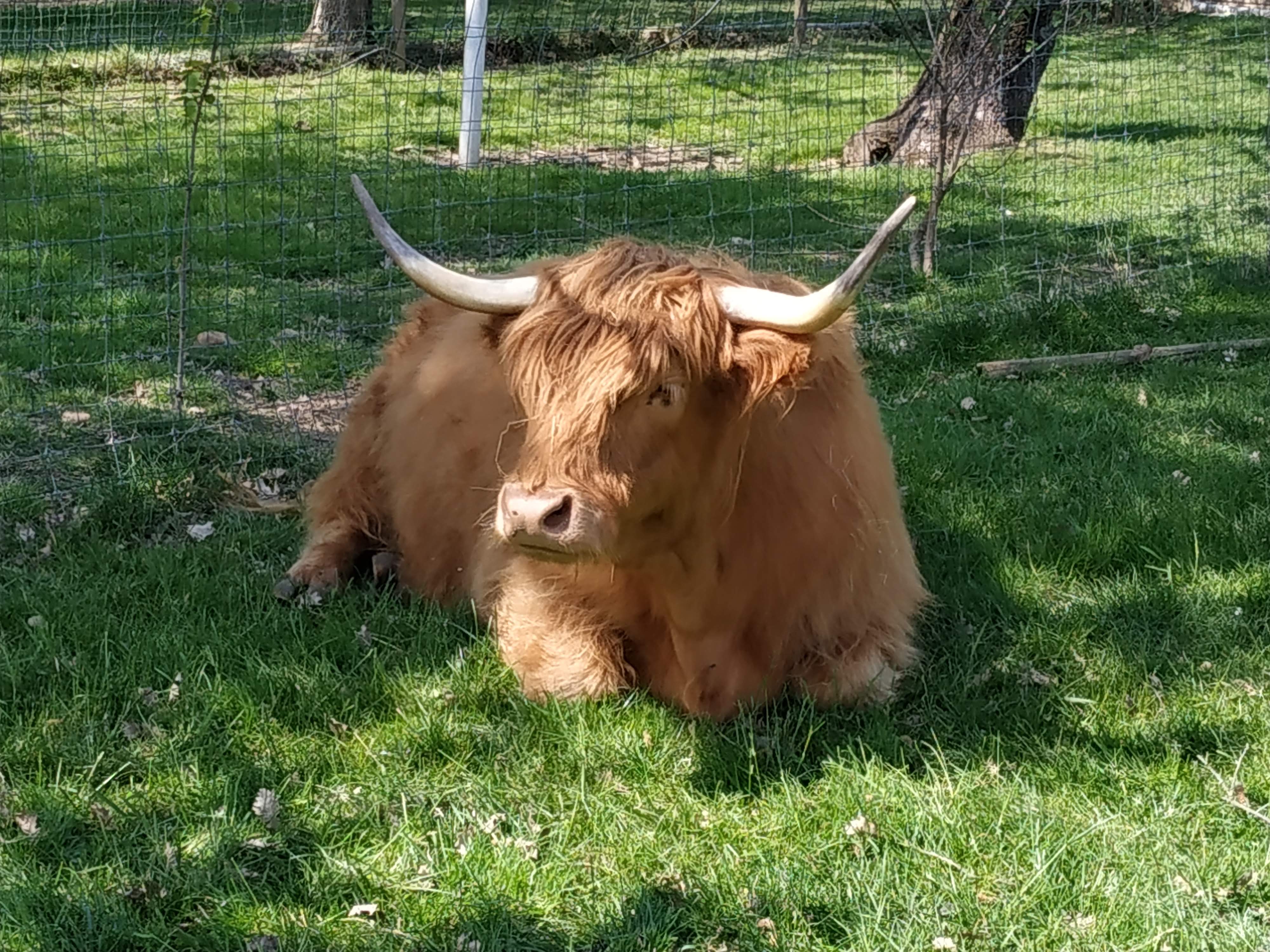 Photo n° 5 de l'avis de Pncette.r fait le 28/04/2019 à 17:15