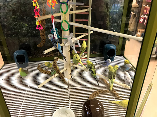 Pet Supply Store «Petco Animal Supplies», reviews and photos, 20825 I-30, Benton, AR 72015, USA