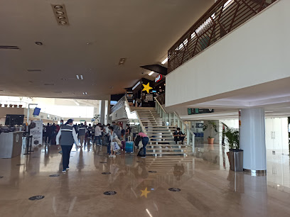 Aeropuerto Internacional Ángel Albino Corzo