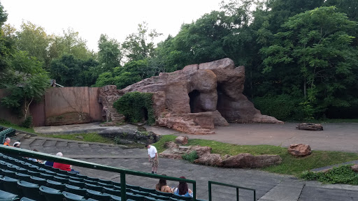 Performing Arts Theater «Trumpet In The Land», reviews and photos, 1600 Trumpet Dr NE, New Philadelphia, OH 44663, USA