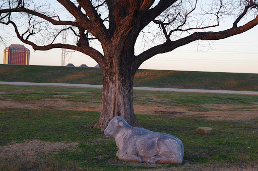 Park «Trammell Crow Park», reviews and photos, 3700 Sylvan Ave, Dallas, TX 75207, USA