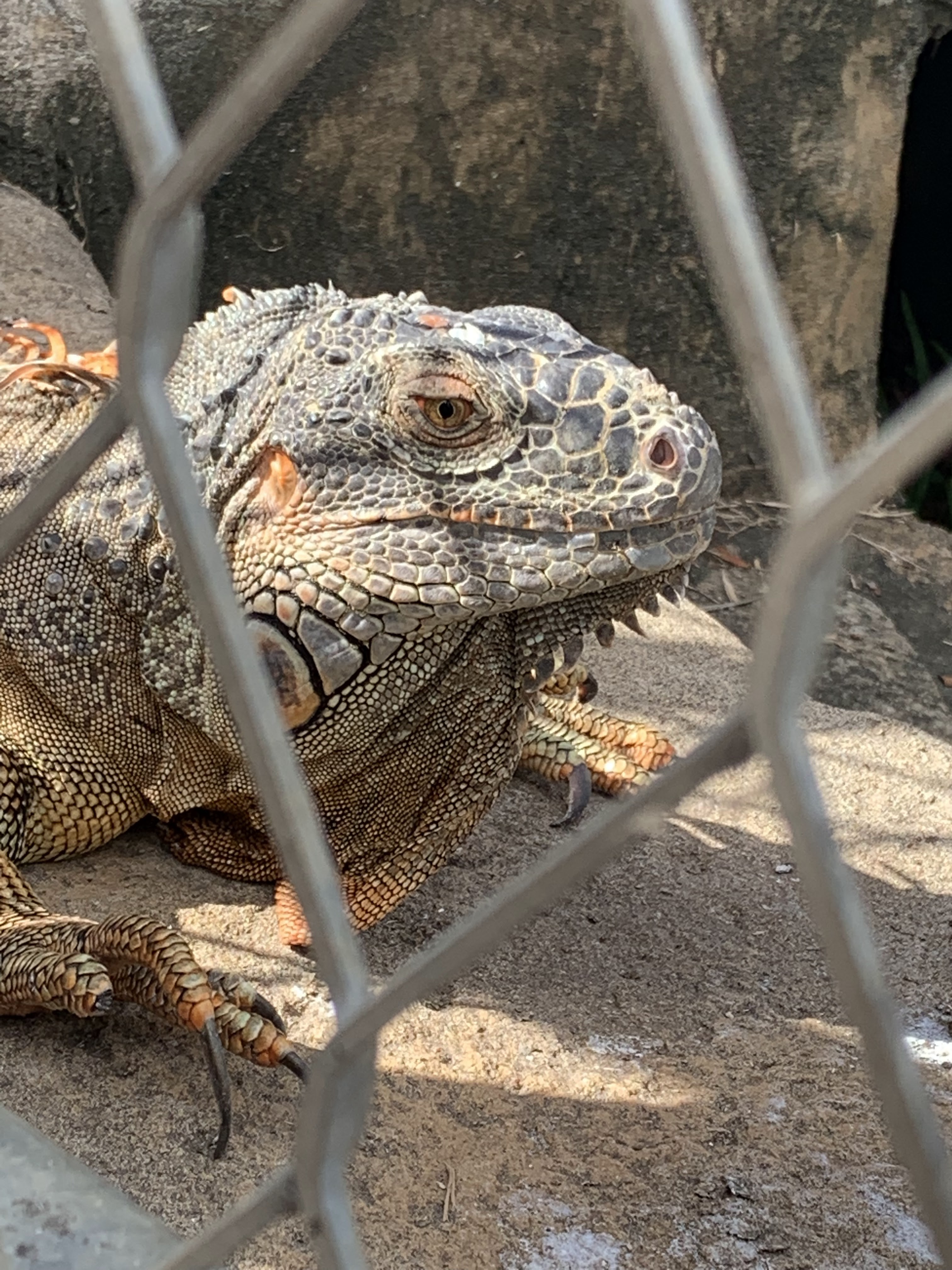 Photo n° 3 de l'avis de Family.L fait le 01/06/2019 à 10:24
