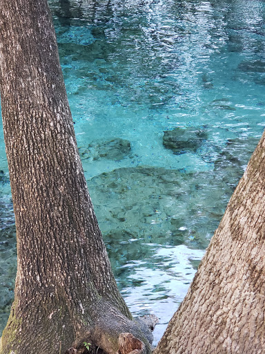 Tourist Attraction «Universal CityWalk», reviews and photos, 6000 Universal Blvd, Orlando, FL 32819, USA