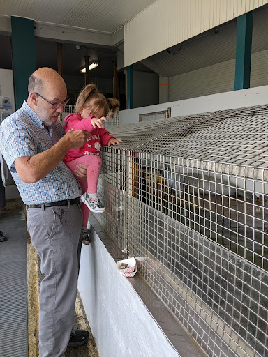 Aquarium «Seaside Aquarium», reviews and photos, 200 N Prom, Seaside, OR 97138, USA