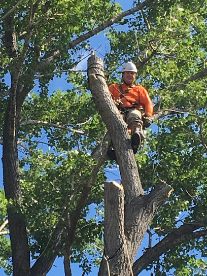 Rock To Top Tree Service