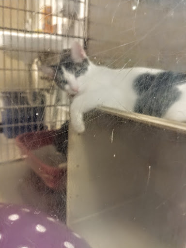 Pet Supply Store «PetSmart», reviews and photos, 16257 N Scottsdale Rd, Scottsdale, AZ 85254, USA