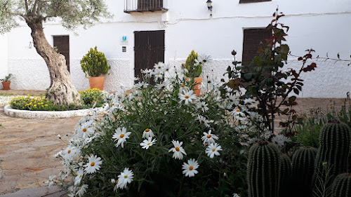 Casa Rural La Almazara. El Fontanar à Fontanar