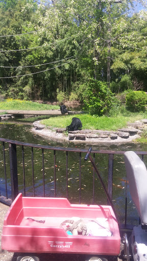 Zoo «Little Rock Zoo», reviews and photos, 1 Zoo Dr, Little Rock, AR 72205, USA