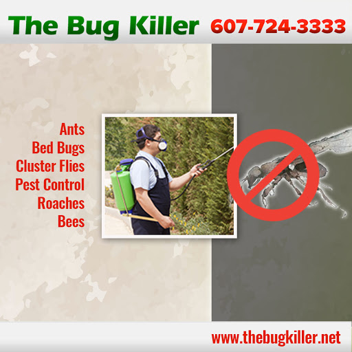The Bug Killer image 9