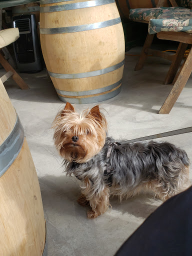 Pet Supply Store «Corralitos Feed & Pet Supplies INC», reviews and photos, 2895 Freedom Blvd # B, Watsonville, CA 95076, USA