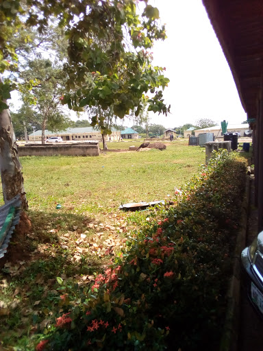 Oke Ose Cattle Market, Nigeria, Butcher Shop, state Kwara
