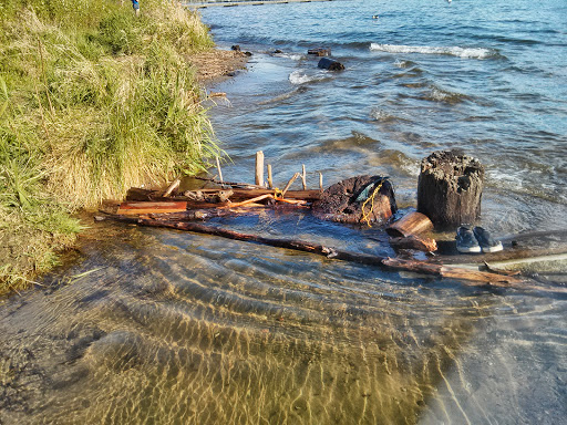 Park «Juanita Beach Park», reviews and photos, 9703 NE Juanita Dr, Kirkland, WA 98034, USA
